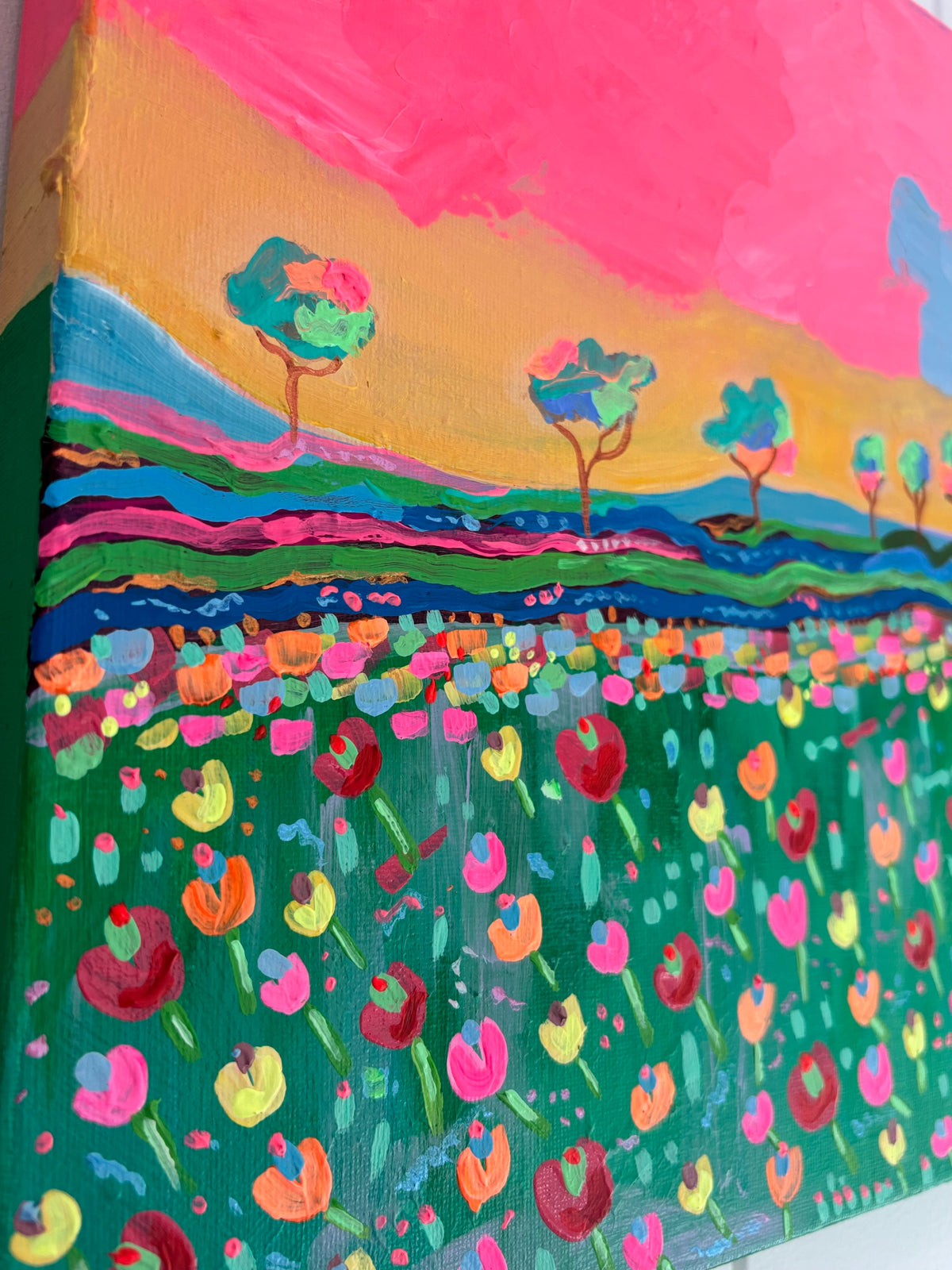 Field of dreams