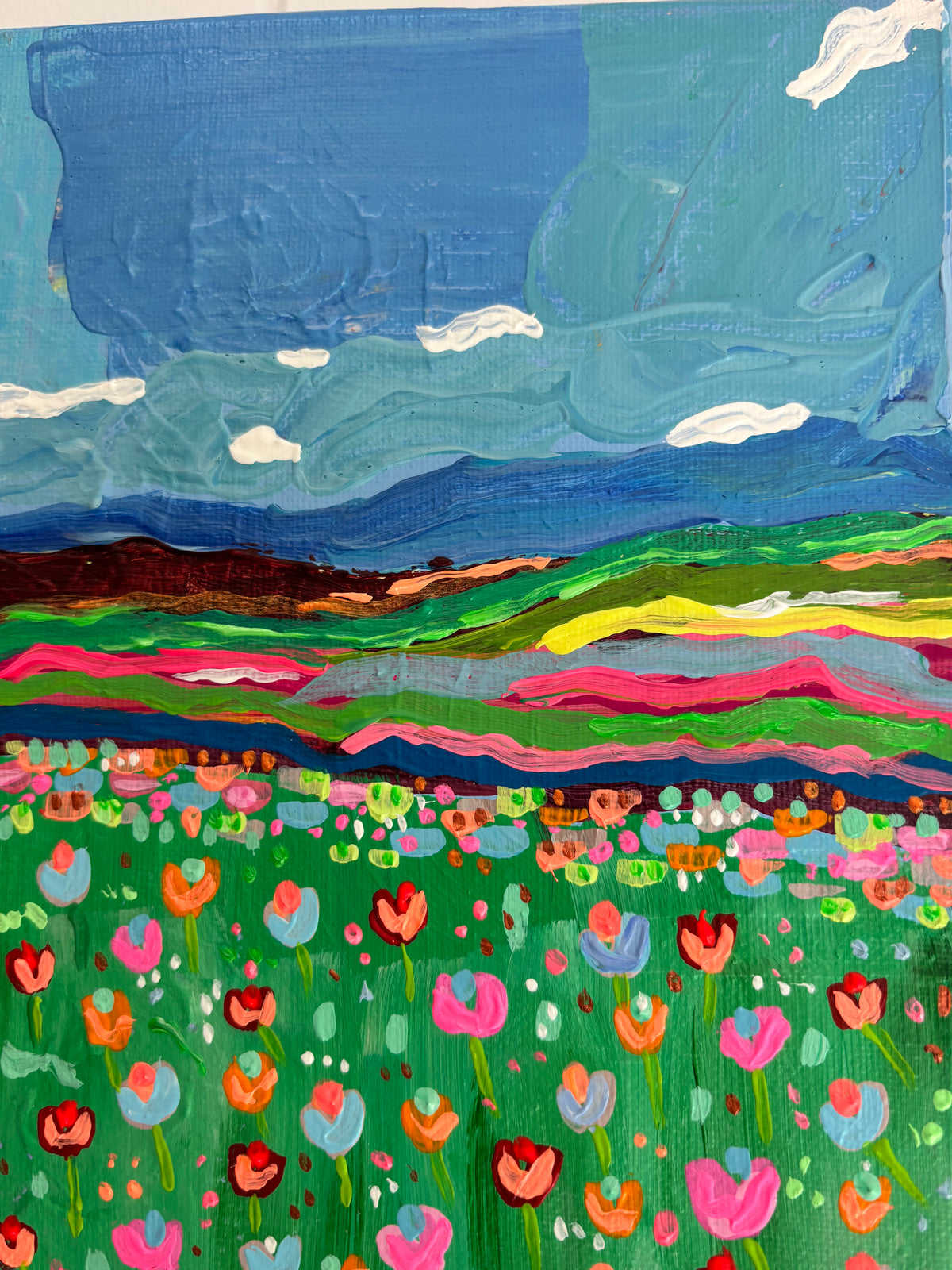 Hills and Tulips